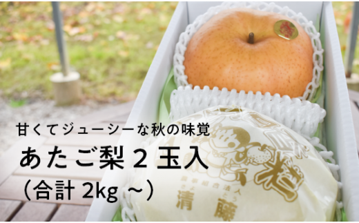 【きよとうファーム】あたご梨 上級品 2玉入(1.0kg級/玉) (岡山県産) / あたご梨 愛宕梨 梨 特選品 上級品 贈り物 御歳暮 果物 くだもの フルーツ 和梨 【KF-C004-01】岡山県真庭市15000果物・フル