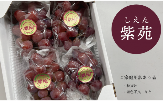 KF-B038【きよとうファーム】訳あり 紫苑 約2.0kg (岡山県産)岡山県真庭市12000果物・フルーツマスカット・ぶどう