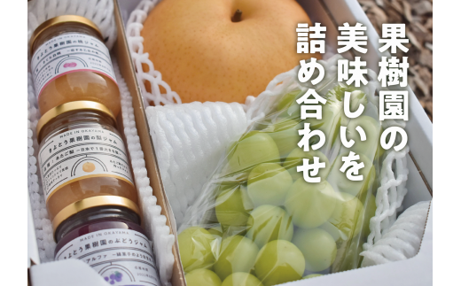 KF-M004【きよとうファーム】果樹園の美味しさ詰め合わせ!シャインマスカット&あたご梨&果実ジャム3種 (岡山県産)岡山県真庭市20000果物・フルーツマスカット・ぶどう