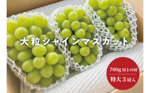 KF-B017-02【きよとうファーム】大きすぎて訳ありのシャインマスカット 特大3房入 /1房700g以上(岡山県産)岡山県真庭市32000果物・フルーツマスカット・ぶどう