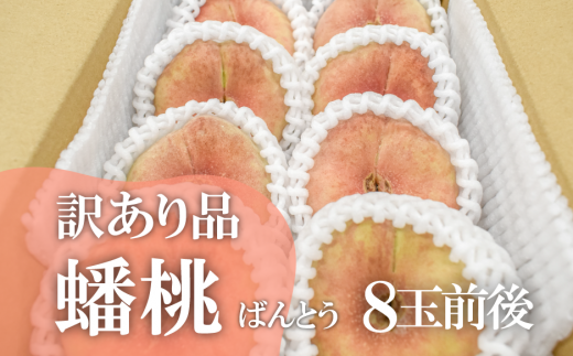 【きよとうファーム】訳あり 蟠桃 ご家庭用 8玉前後 (岡山県産) KF-A020-01岡山県真庭市10000果物・フルーツもも・すもも