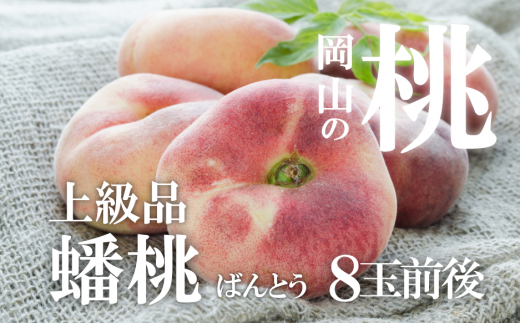 KF-A019yƂt@[zʌ聄󂪈A崓 ㋉i 8ʑO (RY)R^s17000ʕEt[cE