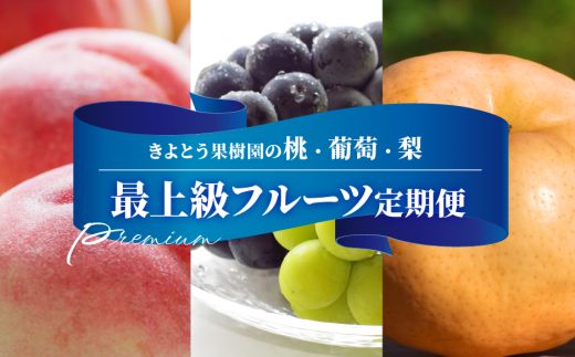 KF-T033【きよとうファーム】桃、ぶどう、梨の最上級品を旬にお届けする3回便! (定期便)(岡山県産)岡山県真庭市100000果物・フルーツもも・すもも