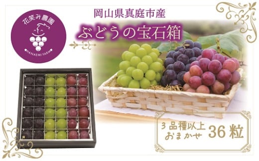 hana51.花笑み農園 岡山『ぶどうの宝石箱』3種以上(36粒入り) 【hana51】岡山県真庭市19000果物・フルーツマスカット・ぶどう