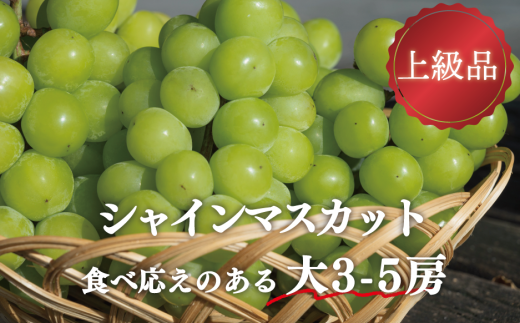 KF-B072-01yƂt@[zVC}XJbg ㋉i 3-5[/v2.4kg~ (RY)R^s36000ʕEt[c}XJbgEԂǂ