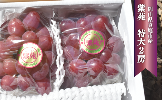 KF-B063yƂt@[z() Q[/v1.3kg~ (RY)R^s12000ʕEt[c}XJbgEԂǂ