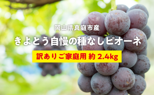 KF-B074-01【きよとうファーム】訳あり 種なしピオーネ 約2.4kg (岡山県産)岡山県真庭市16000果物・フルーツマスカット・ぶどう