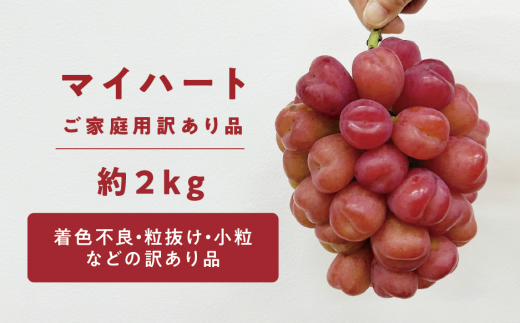 KF-B076【きよとうファーム】訳あり マイハート/約2.0kg (岡山県産)岡山県真庭市19000果物・フルーツマスカット・ぶどう