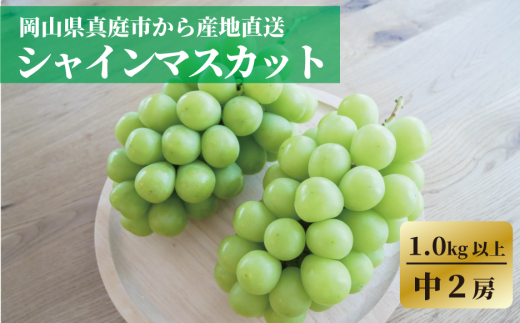 KF-B078-02【きよとうファーム】食べ切サイズ シャインマスカット 中2房/計1.0kg~ (岡山県産)岡山県真庭市15000果物・フルーツマスカット・ぶどう