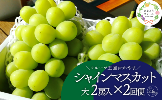 KF-T044-02【きよとうファーム】岡山のシャインマスカットを楽しむ満足2回便!特大2房×2回/全便計2.6kg~ (定期便)(岡山県産)岡山県真庭市42000果物・フルーツマスカット・ぶどう
