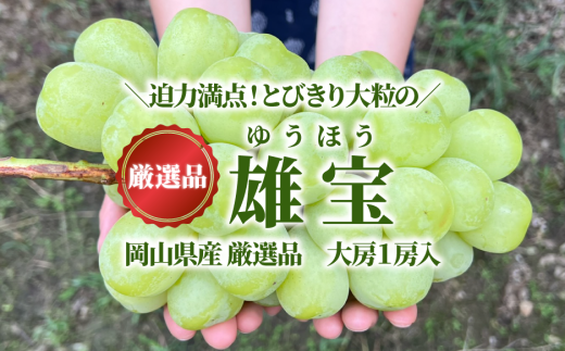 KF-B082-01【きよとうファーム】大粒葡萄「雄宝(ゆうほう)」 厳選品大1房入/房700g以上 (岡山県産)岡山県真庭市16000果物・フルーツマスカット・ぶどう