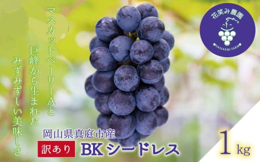 hana62.岡山 花笑み農園の訳あり『BKシードレス』1kg 【hana62-01】岡山県真庭市9000果物・フルーツマスカット・ぶどう