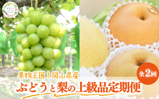 KF-T053-02yƂt@[zVC}XJbgƗlߍ킹2-3킪͂IԂǂƗ̏㋉i(RY)R^s40000ʕEt[c}XJbgEԂǂ