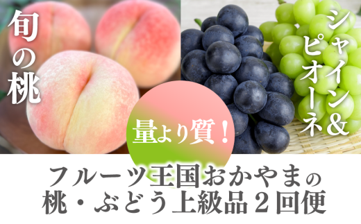 【定期便】【きよとうファーム】量より質!桃5-7玉とピオーネ&シャインマスカット大2房の上級品(定期便)(岡山県産) KF-T056-02 / もも ピオーネ ぶどう シャインマスカット 果物 フルーツ 岡