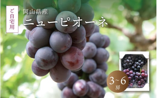 真庭市産 ニューピオーネ 自宅用 3〜6房 /  (2025年8月中旬以降発送予定) ぶどう 自宅用 訳あり 岡山 真庭 ピオーネ 真庭市 大粒 葡萄 果物 フルーツ 濃厚 ピオーネ 人気 数量限定 黒ぶどう 大粒