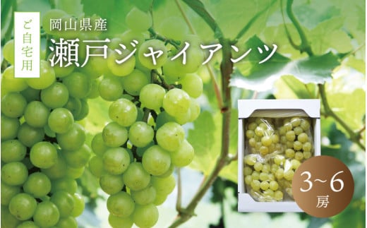 真庭市産 瀬戸ジャイアンツ 自宅用3〜6房 / (2025年9月中旬以降発送予定) ぶどう 岡山 真庭 葡萄  果物 フルーツ ブドウ 人気 数量限定 ご家庭用 皮ごと 種なし 産地直送 お買い得 新鮮 桃太郎