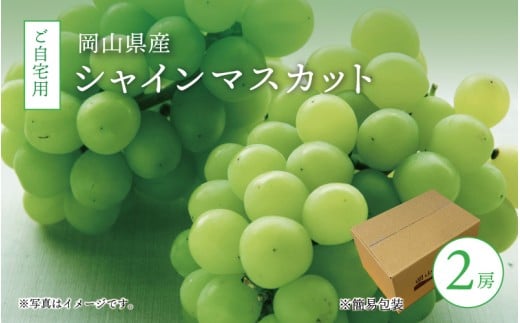 真庭市産 シャインマスカット 自宅用 2房 / (2025年9月中旬以降発送予定) ぶどう 岡山 真庭 大粒 葡萄 シャインマスカット 果物 フルーツ ブドウ 人気 数量限定 ご家庭用 皮ごと マスカット 産