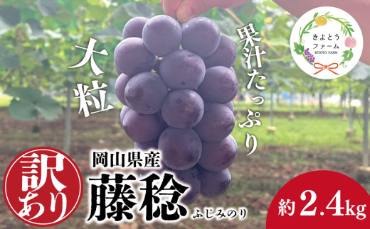 【きよとうファーム】訳あり 種なし ボッケーネ(藤稔) 約2.4kg (岡山県産) /  岡山 真庭 ピオーネ 高級 2.4kg 2025 真庭市 大粒 葡萄 果物 フルーツ 濃厚 人気 数量限定【KF-B090-01】岡山県真庭市16000