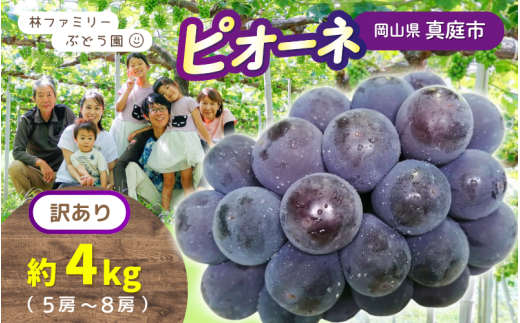 【訳あり】 ※2026年の予約です!※ 岡山県産 林ファミリーのピオーネ 約4kg(約5〜8房) 【2026年先行予約】 / 岡山 真庭 ピオーネ 葡萄 ぶどう ブドウ 果物 フルーツ 新鮮 濃厚 人気 数量限定