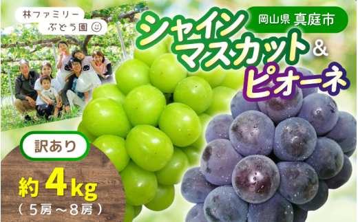 【訳あり】 ※2026年の予約です!※ 岡山県産 林ファミリーのシャインマスカット&ピオーネ 約4kg(約5〜8房) 【2026年先行予約】 / 葡萄 ぶどう ブドウ マスカット 果物 フルーツ 食べ比べ 新