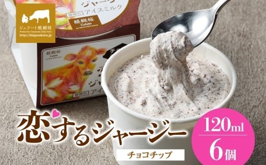【ジェラート醍醐桜】恋するジャージーチョコチップ 6個セット / 岡山 真庭 醍醐桜 極上スイーツ 濃厚 プレゼント 贈答 デザート ギフト ジャージー牛 ミルク ジェラート おやつ チョコレー