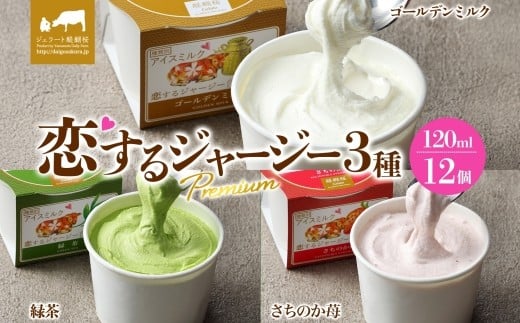 yWF[gzW[W[Premium3 iS[f~NΒ̂䕁jv12Zbg / R ^  ɏXC[c Z v[g  fU[g Mtg W[W[
