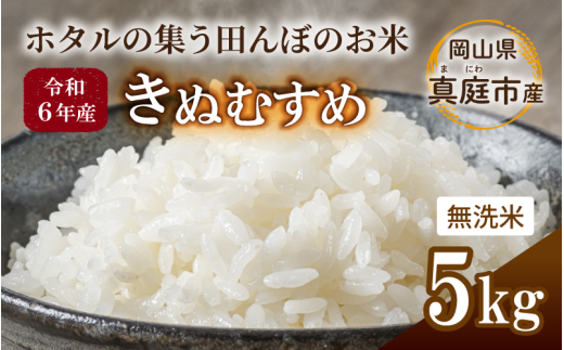 ★令和6年産★ きぬむすめ 無洗米 5kg 岡山県真庭市産 / 国産 お米 ブランド米岡山県真庭市15000米・パン無洗米