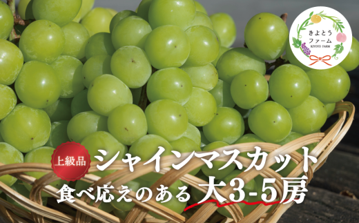 【2026年先行受付】【きよとうファーム】シャインマスカット 上級品 大3-5房/計2.4kg~ (岡山県産) KF-W072-01 ぶどう マスカット 真庭市 【KF-W072-01】岡山県真庭市36000果物・フルーツマスカット・