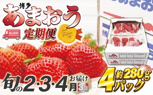 y2026N2`4z܂4pbN3ց@1,120g×3[G5342a]Îs33000ʕEt[c