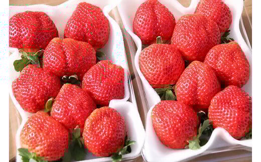 y2026N1菇zÂC`S̉lu܂v@280g×2P@v560gJӂ[[F4274]Îs8000ʕEt[c