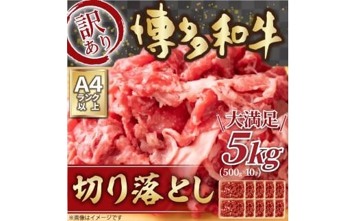 eʁIa؂藎Ƃ5kgi500g×10Pj[G0097]Îs76000