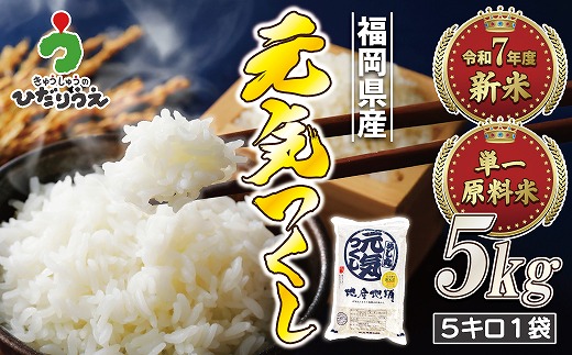 yߘa7NYāzy2025N11菇zJA肨͂IuhāuCv 5kgi5kg×1܁j[G2310a]Îs16000āEp