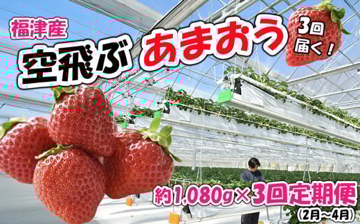 y3͂Ii2`4jzÎYwԂ܂x1,080g×3ցyXJCt[t@[z[G7054]Îs32000ʕEt[c