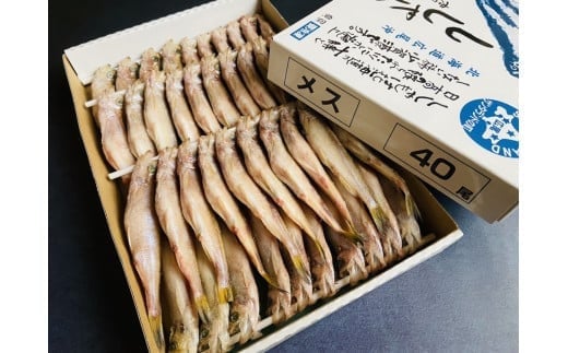 本ししゃも一夜干しメス40尾(0020)北海道広尾町32000魚介・海産物その他 魚介・海産物