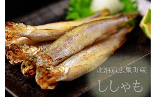 【広尾町産】干物専門店かぶらぎ水産の夫婦ししゃも1箱(オス10尾メス10尾)(J0033)北海道広尾町16000魚介・海産物その他 魚介・海産物