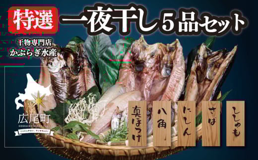 干物専門店かぶらぎ水産の特選一夜干し5品セット(J0031)北海道広尾町16000魚介・海産物干物