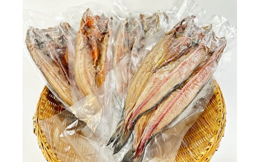 干物専門店かぶらぎ水産の訳あり真ほっけ一夜干し8尾セット(J0025)北海道広尾町10000魚介・海産物干物