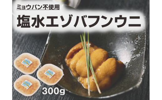 【令和8年1月発送】浜弐水産加工 エゾバフンウニ3パック【100g×3パック】(S0009)北海道広尾町72000魚介・海産物イカ・タコ・ウニ