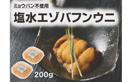 【令和7年11月発送】浜弐水産加工 エゾバフンウニ2パック【100g×2パック】(S0023)北海道広尾町48000魚介・海産物イカ・タコ・ウニ