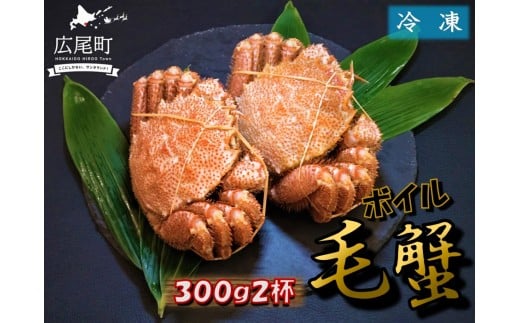 毛ガニ300g×2杯(冷凍茹で)【けがに ケガニ 毛蟹 毛がに カニ 太平洋 北海道 広尾町 冷凍 ボイル】(0100)北海道広尾町16000魚介・海産物カニ