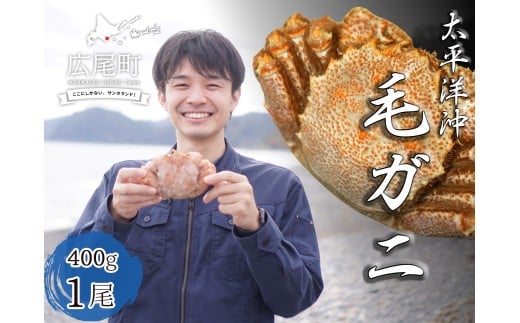 ボイル毛ガニ 400g 1尾(茹で冷凍)【けがに ケガニ 毛蟹 毛がに カニ 太平洋 北海道 広尾町 冷凍 ボイル 海鮮 グルメ】(0103)北海道広尾町14000魚介・海産物カニ