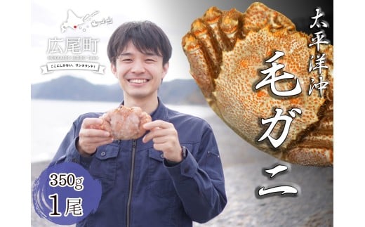 {CуKj@350g@Pi䥂ŗⓀjyɁ@PKj@ъI@тɁ@Jj@m@kC@L@Ⓚ@{C@CN@Oz(0102)kCL12000ECYJj