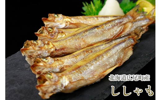 岡嶋水産 生乾しししゃも中オス40尾(C0040)北海道広尾町12000魚介・海産物その他 魚介・海産物