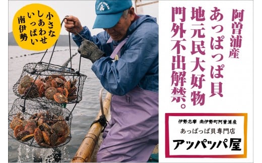 【冷凍】アッパッパ貝 (3個入り)3袋/貝 ヒオウギ あっぱっぱ 海鮮 海の幸 南伊勢町 伊勢志摩三重県南伊勢町8000魚介・海産物貝類