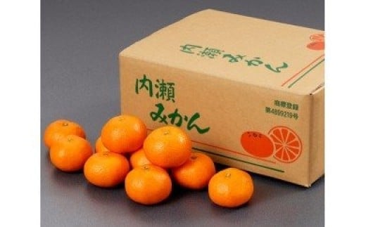 先行予約 みかん 温州みかん 約5kg 数量限定 期間限定 内瀬みかん アサヒ農園 柑橘 蜜柑 フルーツ 果物 くだもの 国産 ブランド 三重県 伊勢 志摩 南伊勢町 20000円 2万円三重県南伊勢町20000果