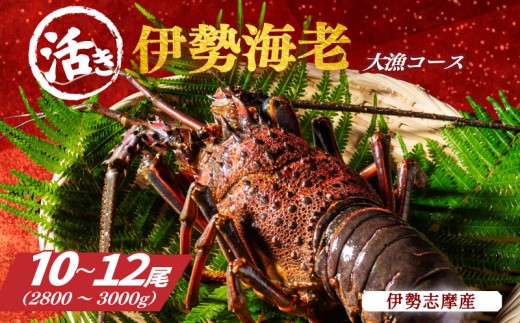 n  ɐCV 務 R[X 10`12 2800`3000g RX ɐ Gr  O Ă ` CN Y C̍K  CV ɐuOdɐ180000ECYGr