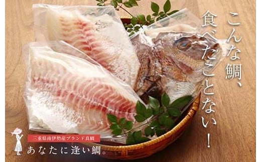^ ^C hg 1kg`1.2kg 3낵 ① Ȃ XLX VN N   hg Ԃ ₵  ߂ ⒃Ђ t Ă ϕt uh Od ɐ ɐ u