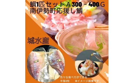 鯛 タイ 1尾分 300g〜400g 真鯛 刺身 お刺身 刺し身 海鮮 魚介 海鮮 鯛めし 鯛鍋 鯛しゃぶ 煮付け 高級魚 お取り寄せ 贈り物 産地直送 国産 三重県 南伊勢 伊勢 志摩 8000円 8千円三重県南伊勢町800