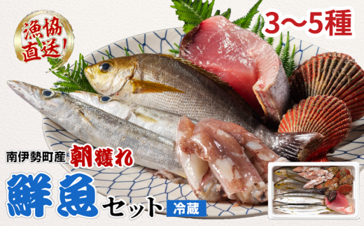 鮮魚 セット 3〜5種 おまかせ カツオ ブリ まぐろ アジ サバ イワシ タイ 貝類 ひもの お刺身用柵 ブロック 刺身 お刺身 刺し身 お刺し身 海鮮 海の幸 魚 魚介 朝どれ 新鮮 詰合せ おいしい と