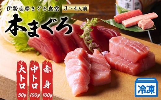 本まぐろ 赤身 中トロ 大トロ 計250g 詰め合わせ 3〜4人前 冷凍 食べ比べ マグロ 鮪 さしみ お刺身 刺し身 海鮮 魚介 定番 海鮮丼 寿司 伊勢志摩 まぐろ食堂 本鮪 専門店 三重県 伊勢 志摩 南伊